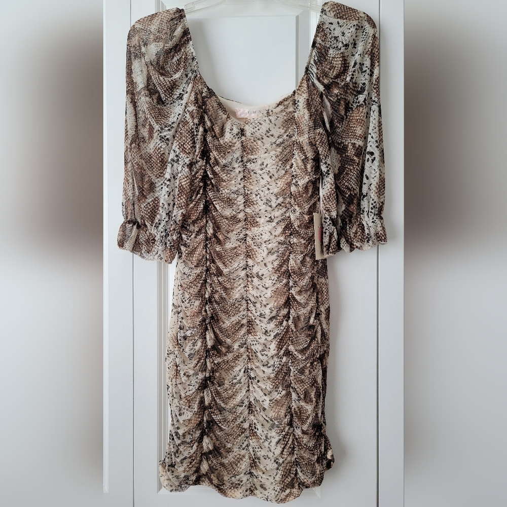 Snake Print Long Sleeve Dress